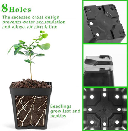 June Fox Square Nursery Pots 3.3 Inches Flexible Plastic Seedling Pots Square Pots for Plants, Succulent, Flower, Pack of 100, with 100 PCS Plant Labels