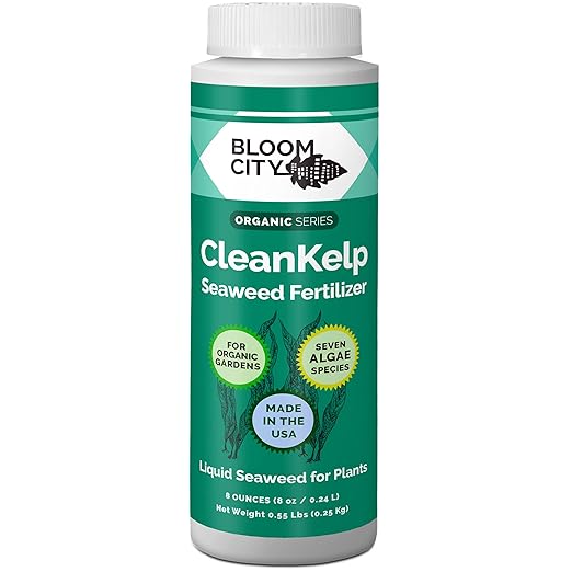 Organic Liquid Seaweed and Kelp Fertilizer Supplement by Bloom City, (8 oz) Concentrated Makes 45 Gallons