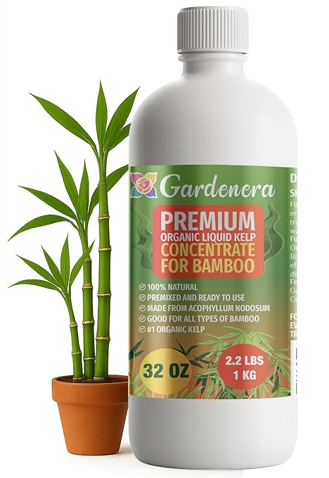 GARDENERA Premium Organic Seaweed & Kelp Superfood for Bamboo Plants - 32 oz - Liquid Kelp Fertilizer Concentrate (Makes 180 Gallons)