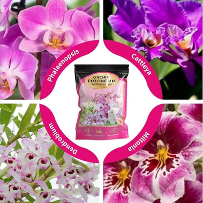 Orchid Potting Mix with Orchid Bark 1QT - New Upgraded Formula for Superior Drainage & Breathability | Premium Soil for Healthy Roots