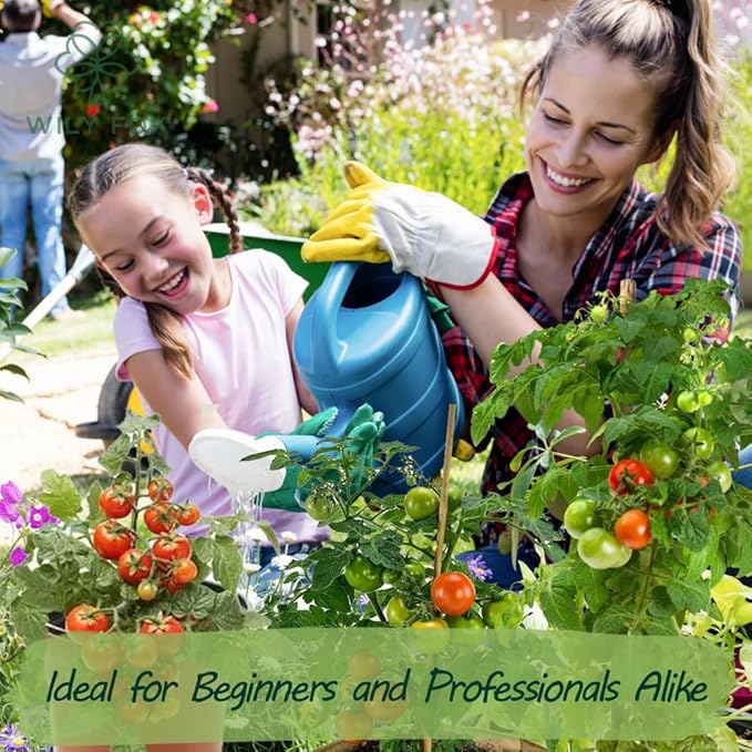 Premium Large Cherry Tomato Seeds – 500 Non-GMO Heirloom Seeds for Planting – Sweet Juicy, High Yield, Rich Flavor Tomatoes for Home Garden, Balcony, Outdoor, Greenhouse – Easy to Grow Vegetable Seeds