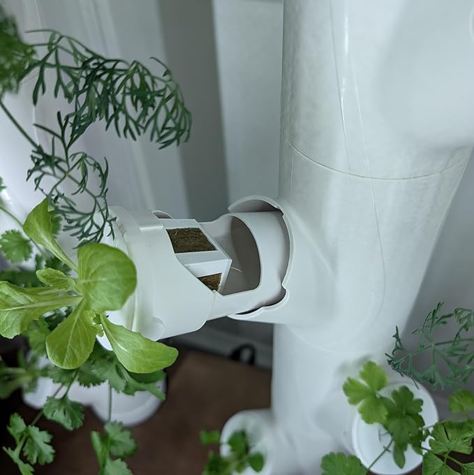 Grow Cubes for Hydroponic System/Compatible with Gardyn (10 Cubes+Rockwool)