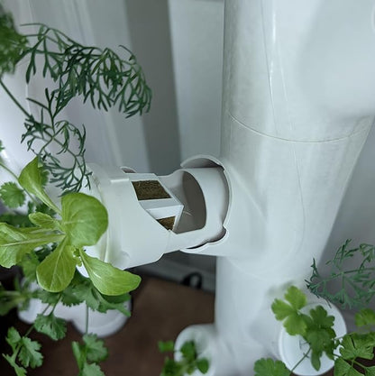 Grow Cubes for Hydroponic System/Compatible with Gardyn (5 Grow Cubes)