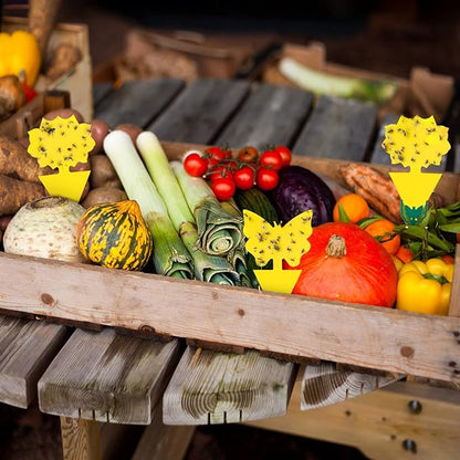 120 Pack Fruit Fly Trap for Indoors, Fungus Gnat Killer Indoor Sticky Traps for Mosquito and Flying Insects, Bug Pest Insect Catcher Killer for Houseplant