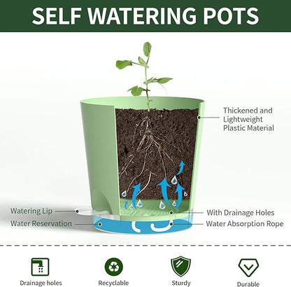 4 Inch 5 Pack Small Self Watering Pots for Indoor Plants, Nursery Pot with Drainage Holes and Saucers, Plastic Small Flower Planter for Succulent, Aloe, Cacti and More(Green)
