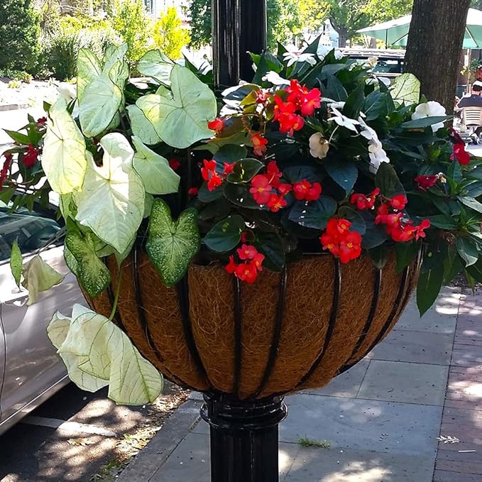 14 inch Coco Liner for planters, 2PCS Round Replacement Plant Basket Liners Coco Fiber Liner for Hanging Basket (14 inch Round)