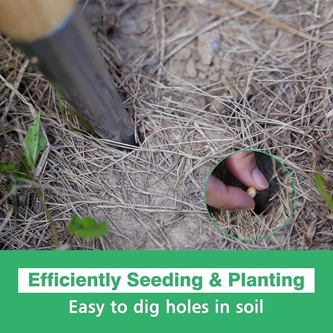 Berry&Bird Hand Dibber, Stainless Steel Sow Dibbler with Wood Handle, Garden Hole Punch Dibbler Tool for Planting Seeds & Bulbs, Hand Held Bulb Planter for Planting Flowers Tulips, Daffodils, Dahlias