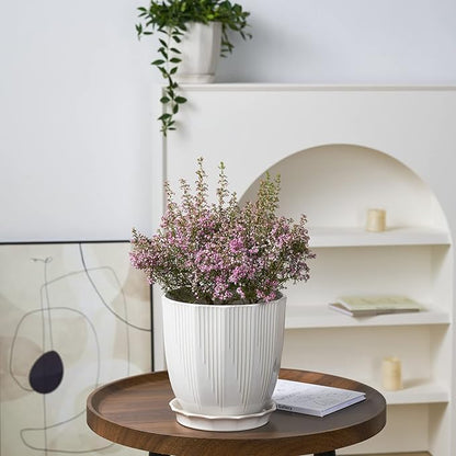 ADN Ceramic Planter - Large Plant Pot Indoor Ceramic Pots for Plants with Drainage Hole and Saucer for Home Decor, White, 8 Inch