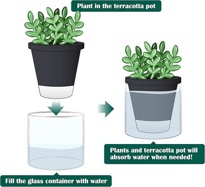 D'vine Dev 4 Inch Design Self Watering Planter for Indoor Plants, Black Terracotta Pot with Cylinder Glass Cup, Set of 4, 37-Z-A-3-F