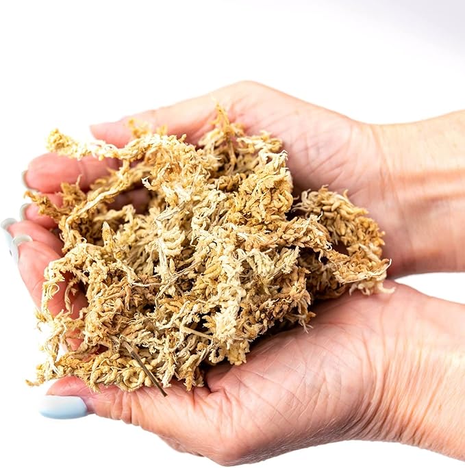 Gardenera Ixora Plant Potting Soil - All-Natural Blend for Thriving Ixora Plants - Boosts Root Health and Vibrant Blossoms - 10 Quart