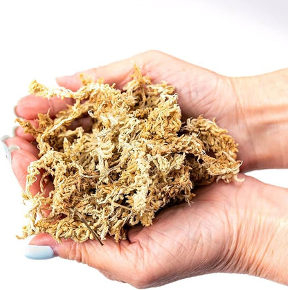 Premium Grade Sphagnum Moss by Gardenera - Organic Hand Mixed New Zealand Long Fibered Sphagnum Moss Orchid - 1 Quart