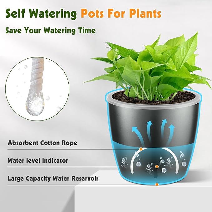 Self Watering Pots for Indoor Plants, 6-Pack 5'' Self Watering Planter with Drainage Holes, Small African Violet Pots with Water Indicator, Clear Wick Orchid Pot, Grey