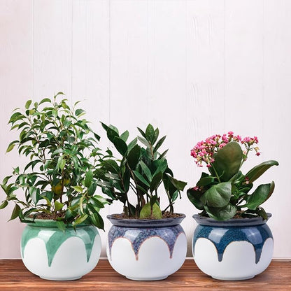 African Violet Pots, 6 Inch Self Watering Pots for Indoor Plants, Easy Plant Self Watering Planter, Ceramic Plant Pot with Absorbent Inner Pot for Flowers - Gradient Blue (No Plants)