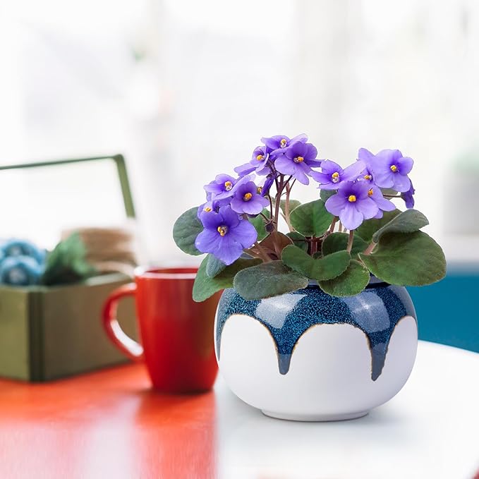 African Violet Pots, 6 Inch Self Watering Pots for Indoor Plants, Easy Plant Self Watering Planter, Ceramic Plant Pot with Absorbent Inner Pot for Flowers - Gradient Blue (No Plants)