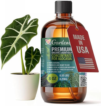 GARDENERA Premium Organic Seaweed & Kelp Superfood for ALOCASIA Plants - 8 oz - Liquid Kelp Fertilizer Concentrate (Makes 45 Gallons)