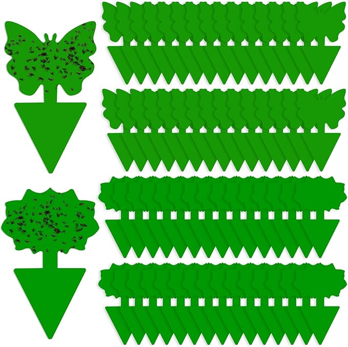 Fruit Fly Traps, 60 Pack Green Stick Traps, Fungus Gnat Traps, Plant Fly Stickers for Indoor and Outdoor Use Protect The Plant