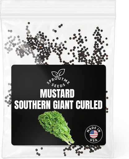 Fall & Winter Southern Giant Curled Mustard Seeds for Indoor & Outdoor Planting – 500+ Non-GMO Heirloom Spicy Green High Germination (Brassica juncea)
