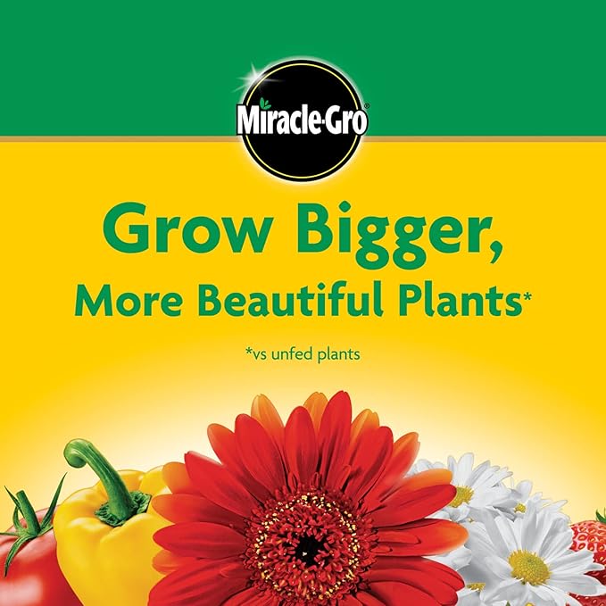 Miracle-Gro Water Soluble All Purpose Plant Food, Plant Fertilizer for Indoor or Outdoor Plants, Roses, Flowers, Houseplants, Vegetables and Trees, 6.25 lb.