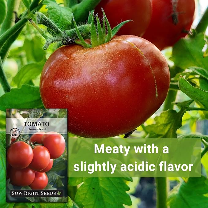 Sow Right Seeds - Homestead Tomato Seeds for Planting - Non-GMO Heirloom Packet with Instructions to Plant a Home Vegetable Garden - Semi Determinate Classic Red Variety - Medium Sized(1)