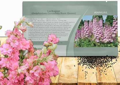 Outsidepride Delphinium Rose Larkspur Seeds for Planting Outdoors - 1000 Pcs Annual, Self-Seeding, Heat & Drought Tolerant Wildflower Seeds, Colorful Blooms for Flower Arrangement & Pollinator Garden