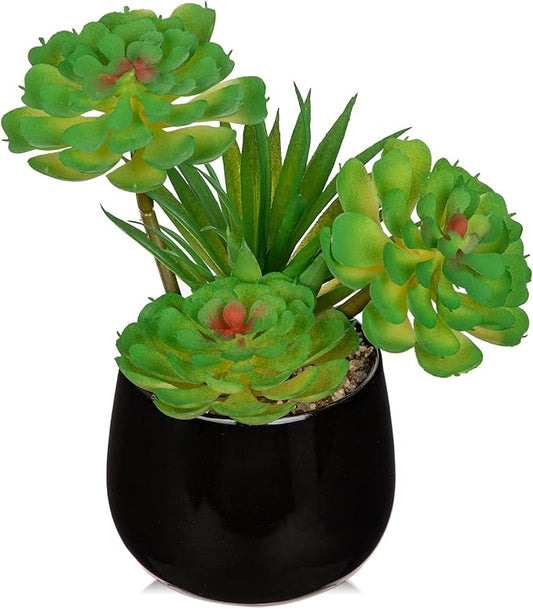 Briful Artificial Succulents Plants in Ceramic Pot, Faux Succulent with Black Planters – Modern Desk Decor for Home Office Shelf Bathroom, Small Fake Plants Potted