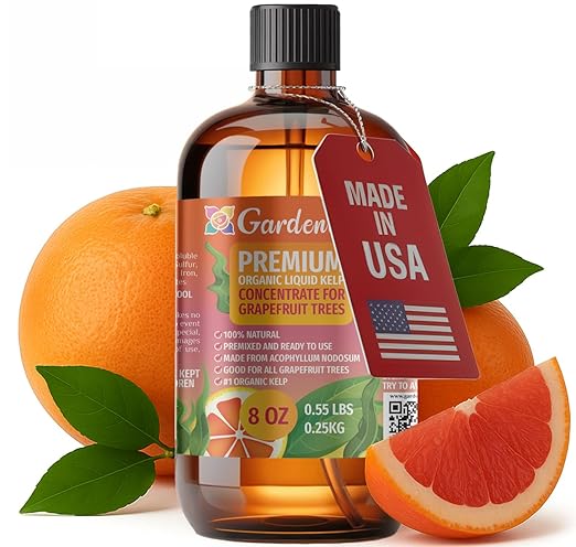 GARDENERA Premium Organic Seaweed & Kelp Superfood for Grapefruit Plants - 8 oz - Liquid Kelp Fertilizer Concentrate (Makes 45 Gallons)