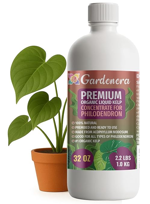GARDENERA Premium Organic Seaweed & Kelp Superfood for Philodendron Plants - 32 oz - Liquid Kelp Fertilizer Concentrate (Makes 180 Gallons)
