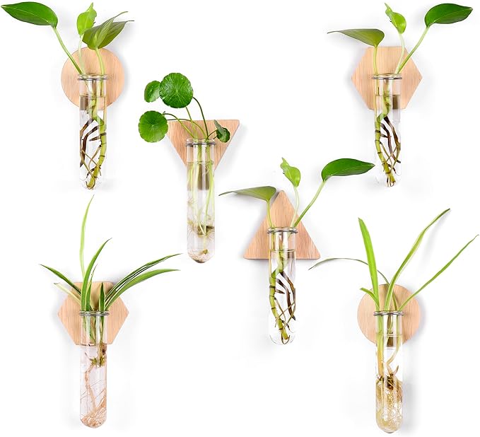 MITIME Wall Hanging Planter Glass Plant Propagation Station,Geometric Wooden Stand for Home Office Decoration.