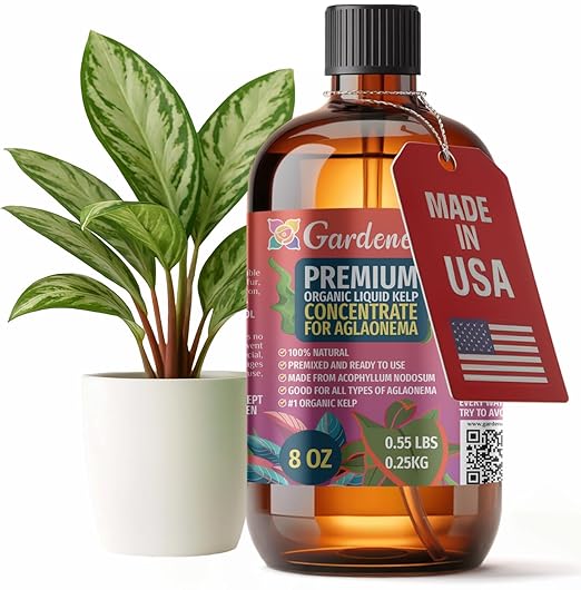 GARDENERA Premium Organic Seaweed & Kelp Superfood for AGLAONEMA Plants - 8 oz - Liquid Kelp Fertilizer Concentrate (Makes 45 Gallons)