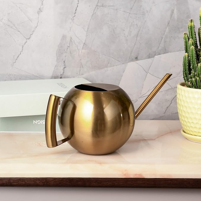 IMEEA Watering Can for Indoor Plants 45oz/1.3L Stainless Steel Small Indoor Watering Can House Plants