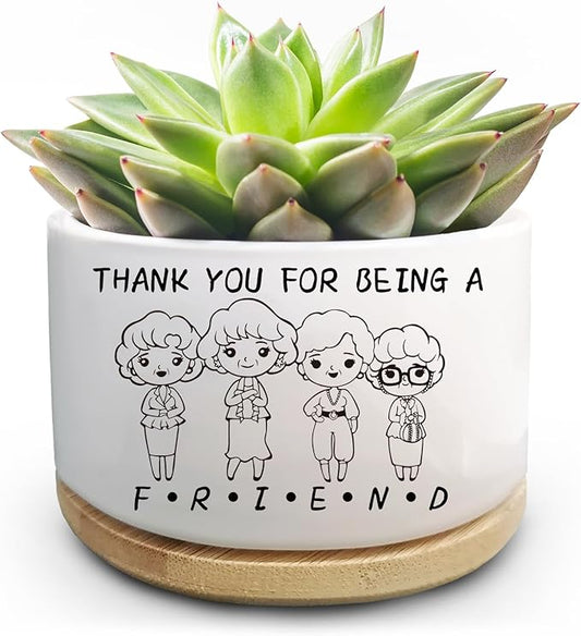 Friend Gift for Women, Golden Merchandise, Succulent Plant Pot, Cactus Flower Planter, Friendship Thank You Gift for Women Friends Bestie Soul Sisters, Thank You for Being A Friend (No Plants)
