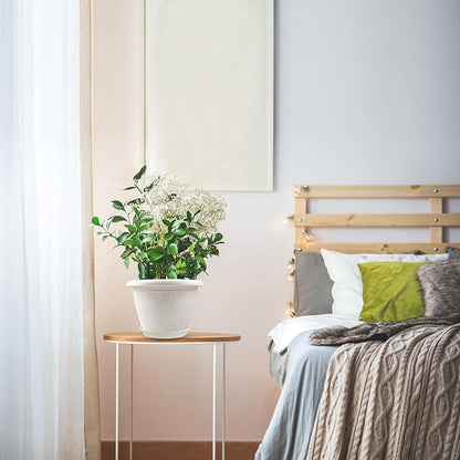 8 Inch Flower Pots Planters for Indoor Outdoor Plants, 4 Pack Plastic Small Plant Pots with Drainage Hole & Tray, Modern Decorative Garden Pot with Saucer, Plant Container for House