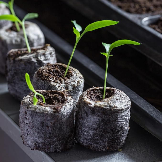 1000 Pcs 40mm Seed Peat Pellets Bulk Seed Starter Soil Pods Compressed Coconut Coir Pellets Potting Soil Pods for Vegetables Germination Propagation Garden Planting Transplanting