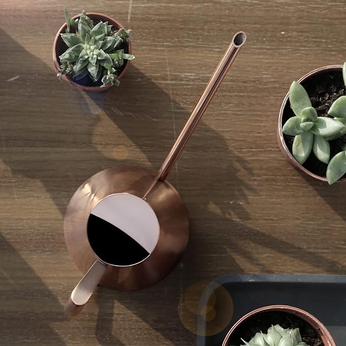 Tissting Bronze Long Spout Watering Can Stainless Steel Plant Watering Pot Garden Green Plant Flower Watering Kettle for Indoor Outdoor Plants Garden Flower(400ML)