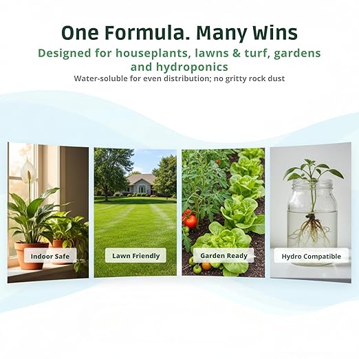 Ocean Magic Sea Mineral Fertilizer by GS Plant Foods(1 Gallon) - Soil Mineral Health Improvement Liquid Concentrate - Sea Minerals for Lawn and Turf, Gardens & House Plants