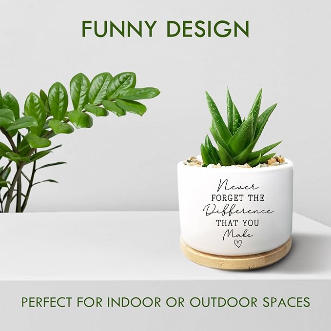 Coworker Thank You Gifts, Funny Succulent Plant Pot, Flower Cactus Planter Gifts, Farewell Going Away Appreciation Inspirational Gifts for Women Men Boss Lady Manager Coworkers (No Plants)