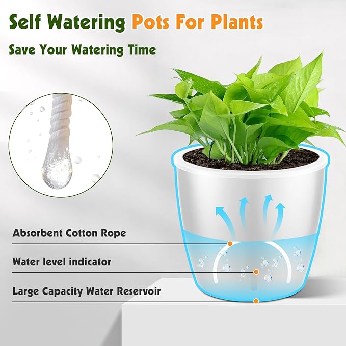 Self-Watering Pots for Indoor Plants, 12-Pack 5'' Self Watering Planter with Drainage Holes, Small African Violet Pots with Water Indicator, Clear Wick Pot, White