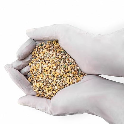 Premium 8-4-8 Professional Palm Tree Fertilizer Plant Food |Indoor Potted Plants and Outdoor Landscape Palm Trees | Quick-Release Nitrogen Fertilizer and Continuous Feeding [16 OZ]