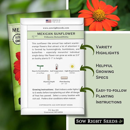 Sow Right Seeds - Mexican Sunflower Seeds for Planting - Non-GMO Heirloom Packet with Instructions for Growing - Bright Orange Blooms, Super Tall Stalks - Enjoys Outdoors or Indoors as Cut Flower (4)