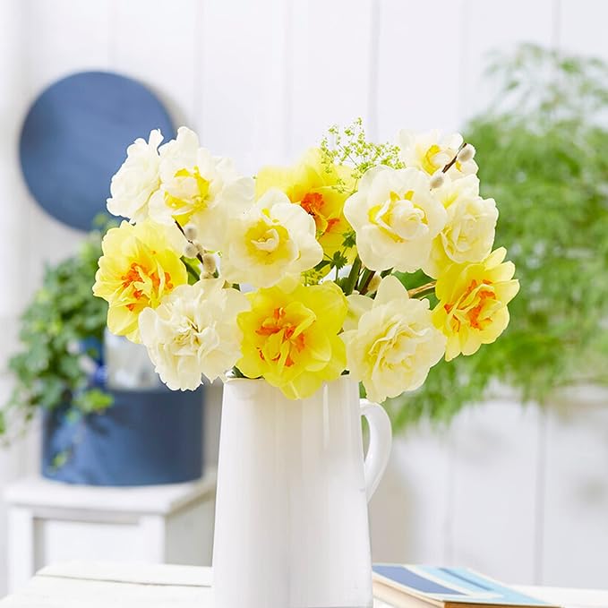 Garden State Bulb Double Mixed Daffodil Flower Bulbs, 14/16cm, Fall Planting (Bag of 25)