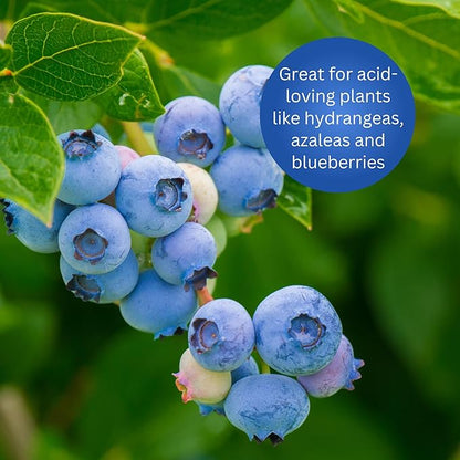 Earth Science Fast Acting Sulfur Granules – 5lb – Soil pH Reducer, Lowers pH Instantly, Reduces Nutrient Runoff, Improves Growth & Color for Acid-Loving Plants, Long-Lasting Lawn Care Supplement