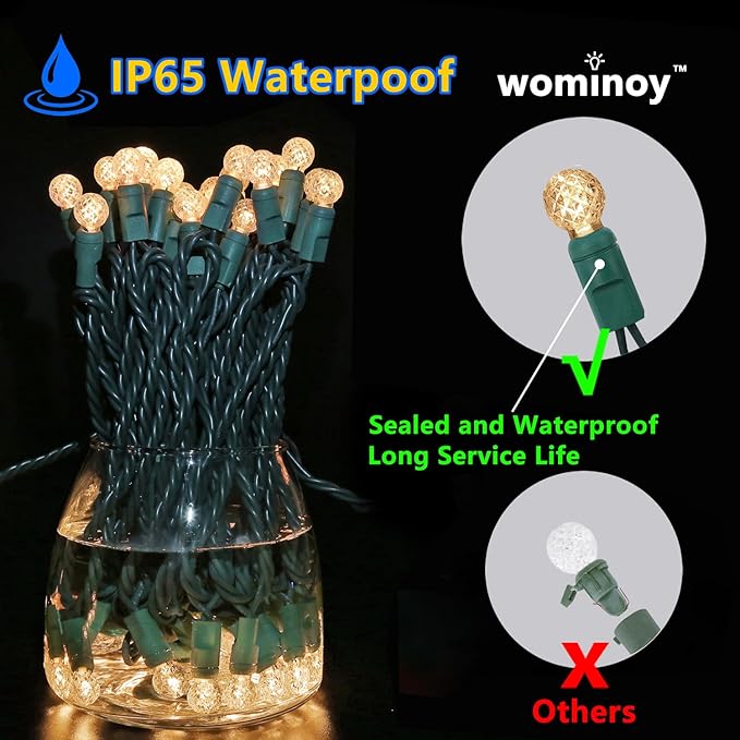 Warm White G12 LED Christmas Lights Outdoor- 71 FT 140 Count Berry LED Christmas Lights Outdoor Waterproof, One-Piece Commercial Grade Green Wire, IP:65, UL (2 Pack 70 Counts 35.5ft Per String)