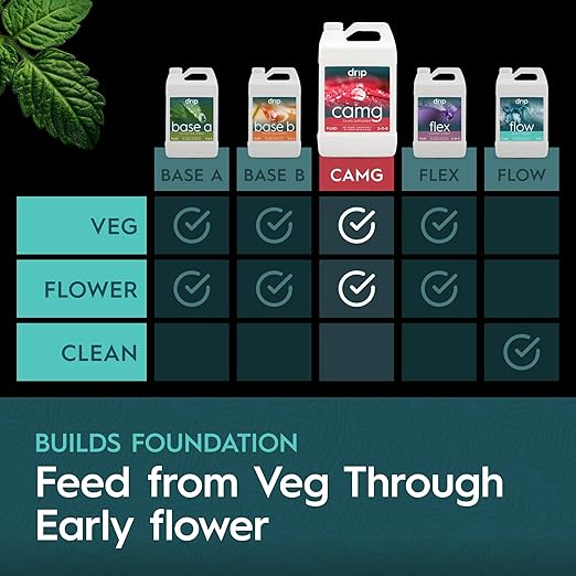 CaMg Gallon | High-Concentration Calcium and Magnesium Supplement with Nitrogen and Iron | Essential Micronutrient Blend for Vigorous Plant Growth