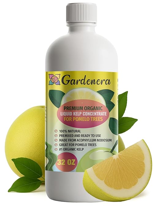 GARDENERA Premium Organic Seaweed & Kelp Superfood for Pomelo Plants - 32 oz - Liquid Kelp Fertilizer Concentrate (Makes 180 Gallons)