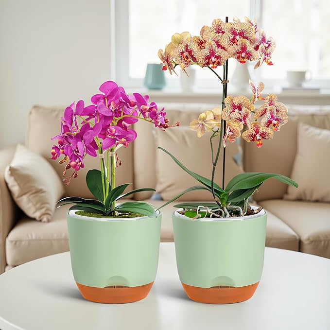QCQHDU 2 Pack 5.7 Inch Orchid Pots with Holes for Repotting, Double-Layer and Self Watering Orchid Pot with Good Air Circulation