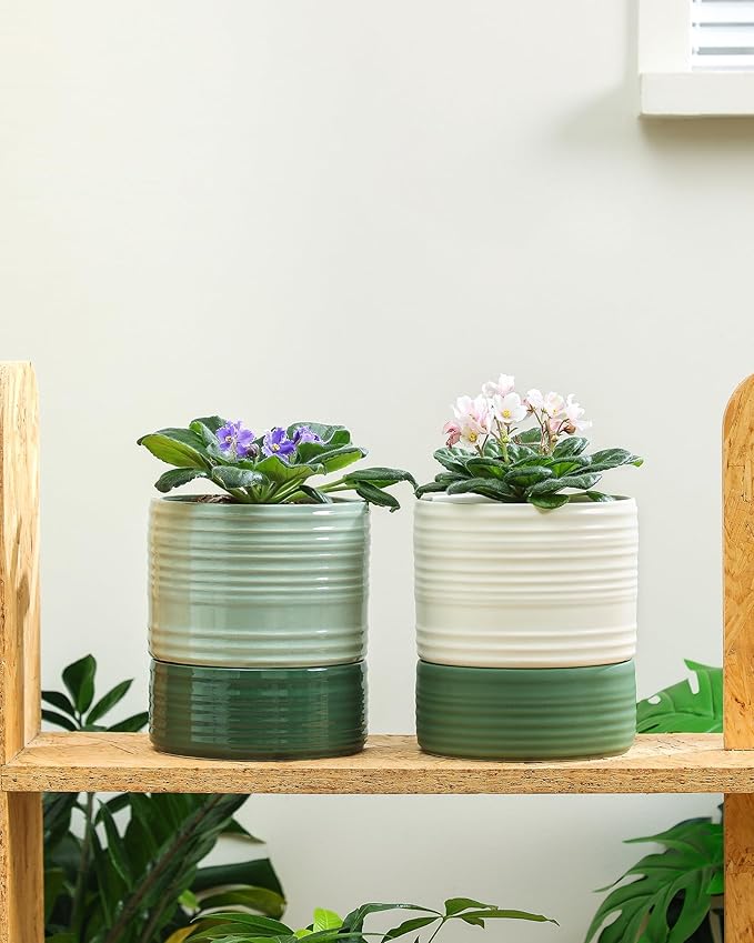 Self Watering Pots for Indoor Plants, 6 Inch Ceramic Self Watering Plant Pot, Planter Pot with Wick Rope and Drainage Hole for African Violet Succulent Herbs (White Matte)