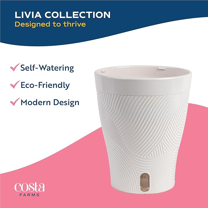 Costa Farms Champs Élysées Pothos Live Plant, Climbing or Trailing Indoor Houseplant | 12-Inches Tall | Trending Tropicals Collection | Self-Watering Pot | Easy Grow Plant for Home, Room Decor