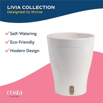 Costa Farms Scindapsus Mount Salak Live Plant, Climbing Trailing Indoor Houseplant | 12-Inches Tall | Trending Tropicals Collection | Self-Watering Pot | Easy Grow Plant for Home, Room Decor