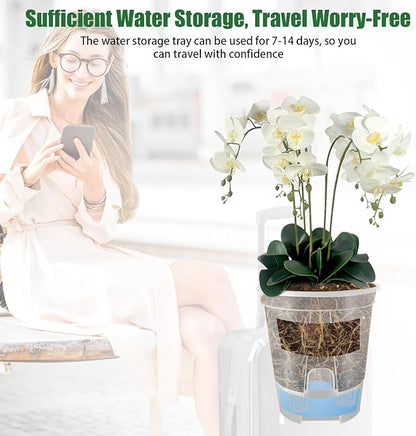 Cdd's Path 5-Pack 6 Inch Self Watering Pots Set with Holes for Indoor/Outdoor Plants,Planter Pot with Watering Hole/Reservoir and Air Pipes,Clear