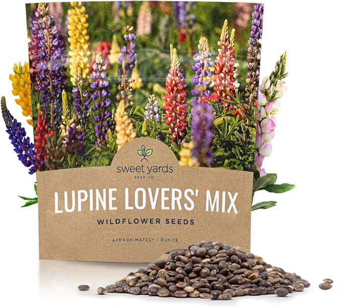 Lupine Wildflower Seeds - Large 1 Ounce Packet - Over 1,200 Annual and Perennial Mixed Lupine Flower Seeds